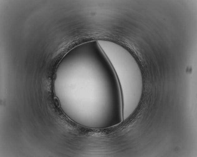 X0000090910689200707301033