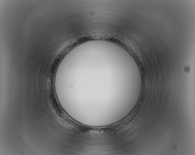 X0000090910690200707301033