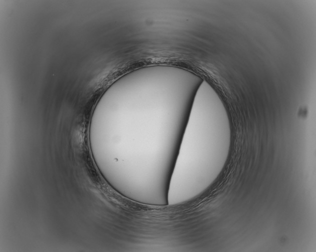 X0000090910691200707301033