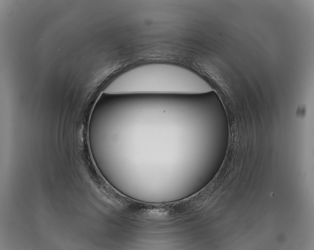 X0000090910692200707301033