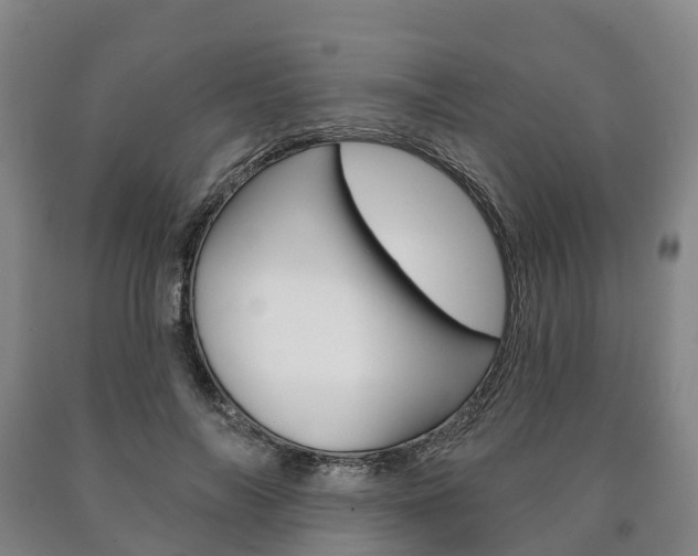 X0000090910694200707301033