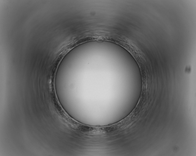 X0000090910696200707301033