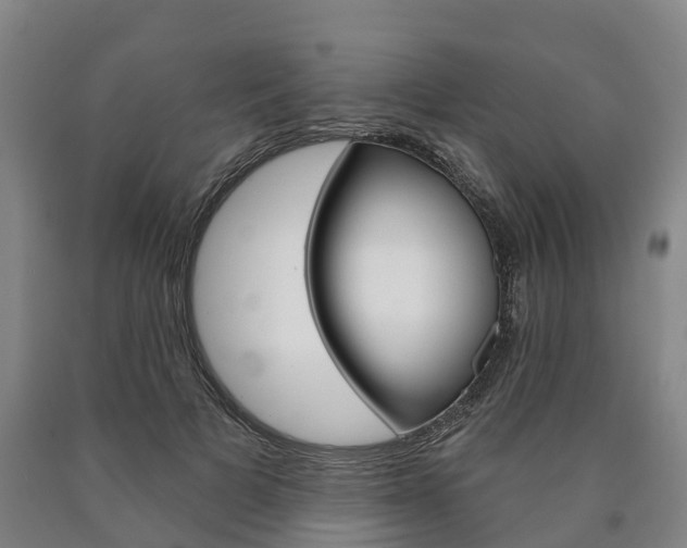 X0000090910697200707301033