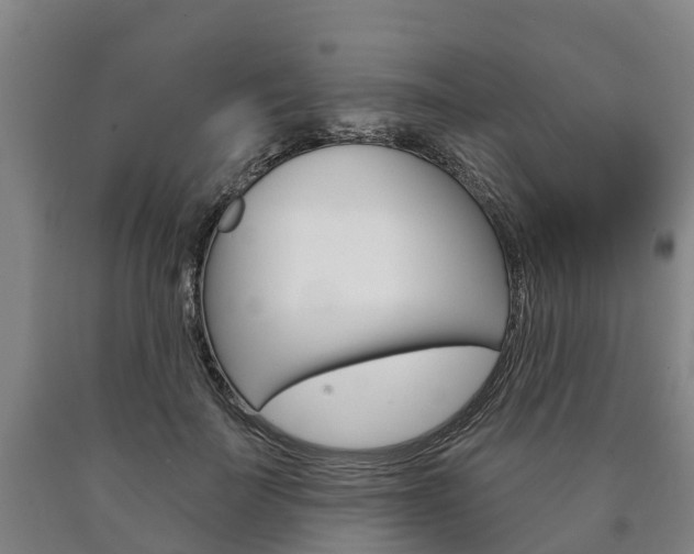 X0000090910699200707301033
