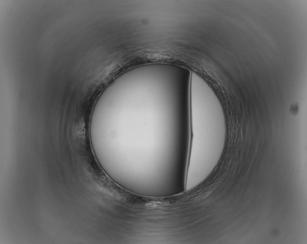 X0000090910700200707301033