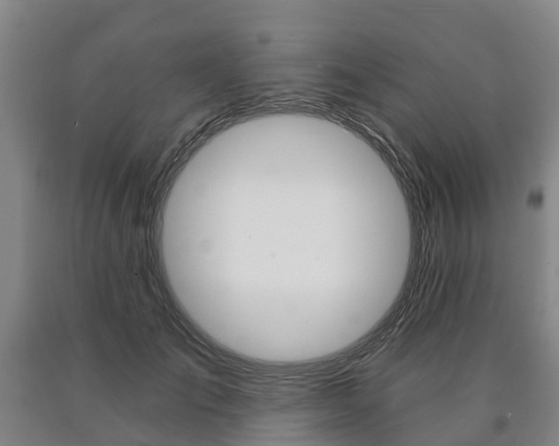 X0000090910701200707301033