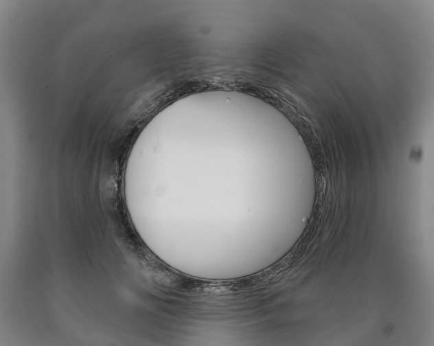 X0000090910702200707301033