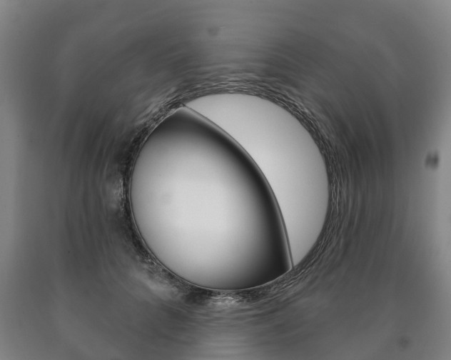 X0000090910704200707301033