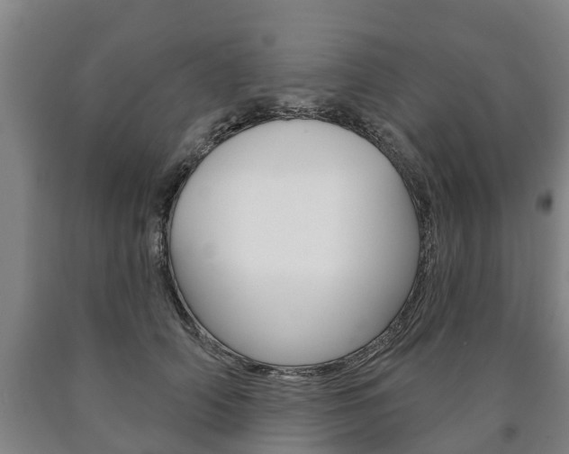 X0000090910706200707301033