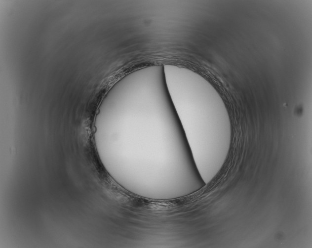 X0000090910707200707301033