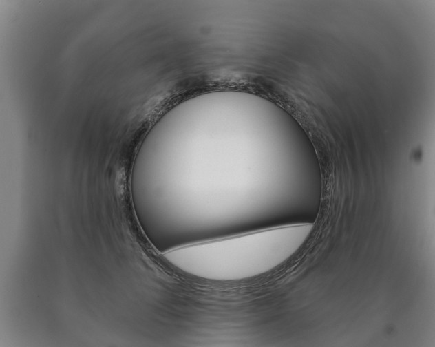 X0000090910708200707301033