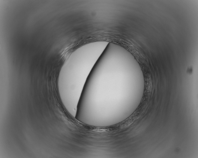 X0000090910711200707301033