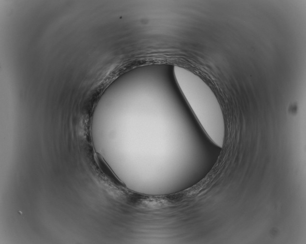 X0000090910712200707301033