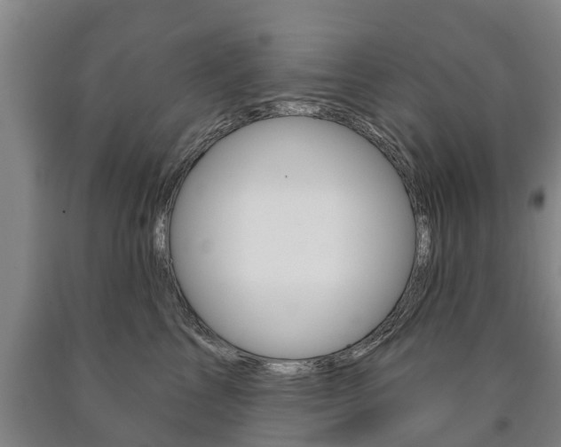 X0000090910713200707301033