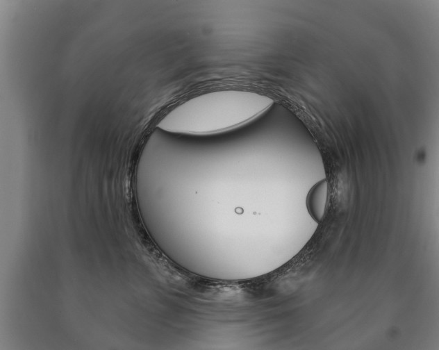 X0000090910715200707301033