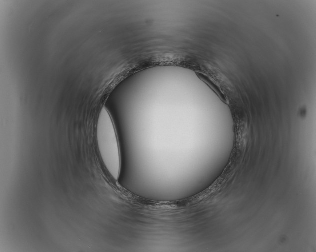 X0000090910716200707301033