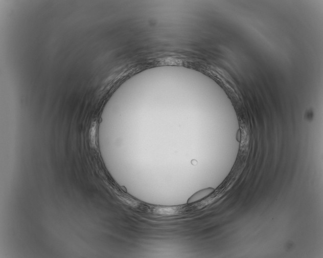 X0000090910717200707301033