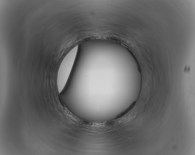 X0000090910720200707301033