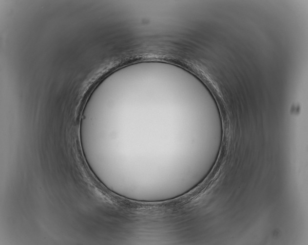 X0000090910721200707301032