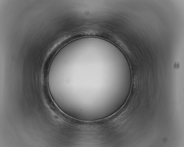 X0000090910722200707301032