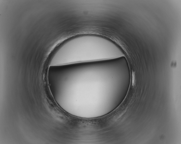 X0000090910723200707301032