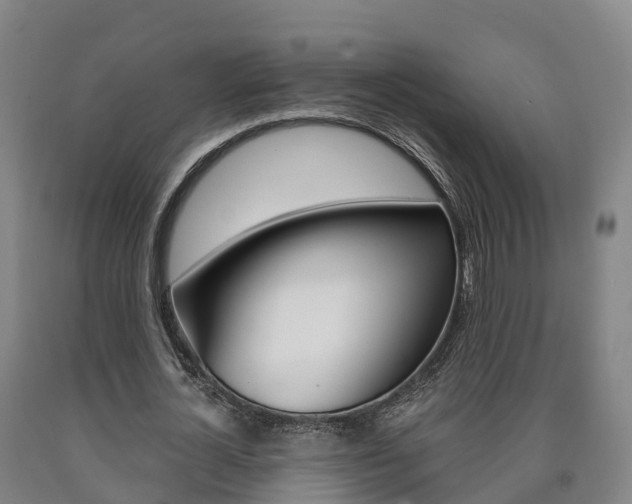 X0000090910724200707301032