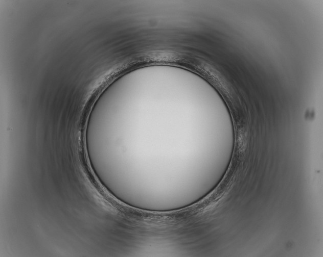 X0000090910725200707301032