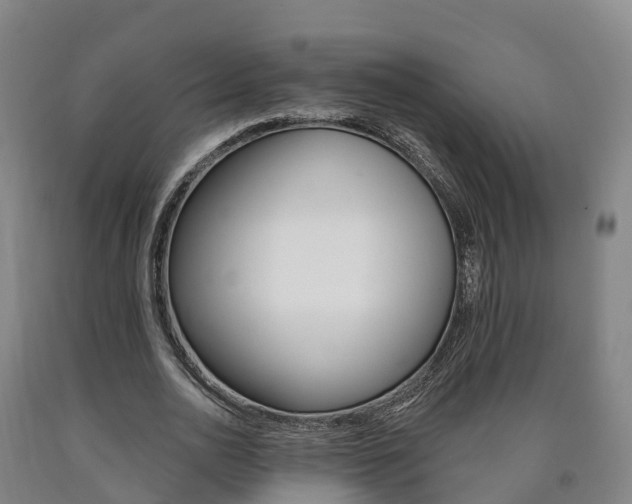 X0000090910726200707301032