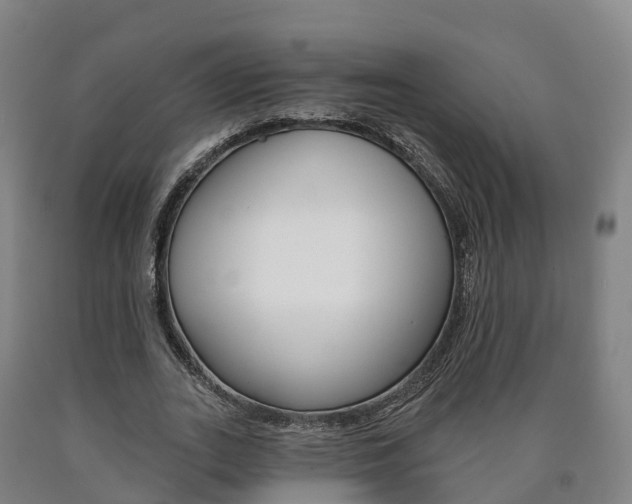 X0000090910727200707301032