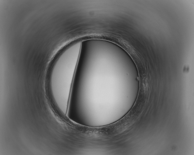 X0000090910728200707301032