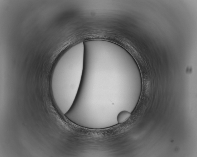 X0000090910729200707301032