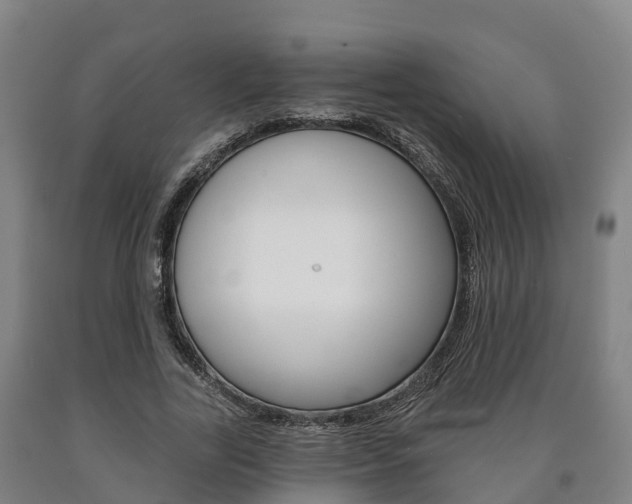 X0000090910731200707301032