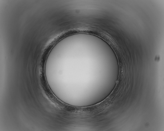 X0000090910732200707301032