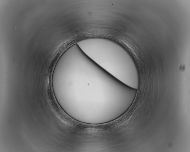 X0000090910733200707301032