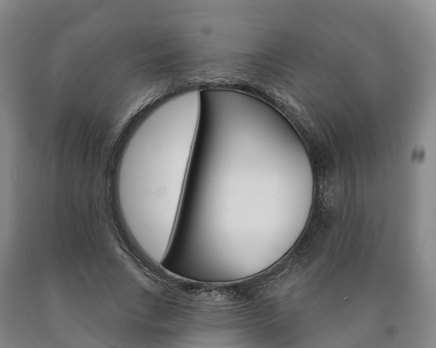 X0000090910735200707301032