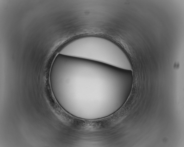 X0000090910736200707301032