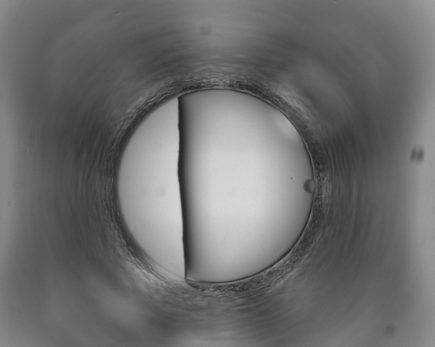 X0000090910737200707301032