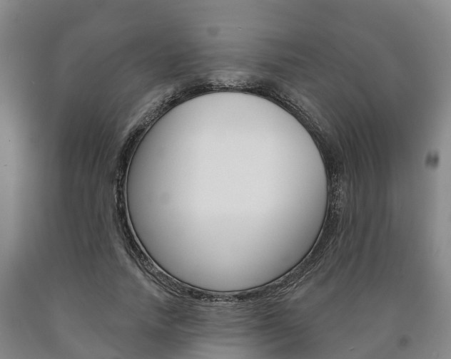 X0000090910738200707301032