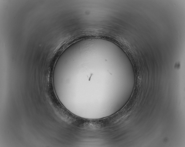 X0000090910739200707301032