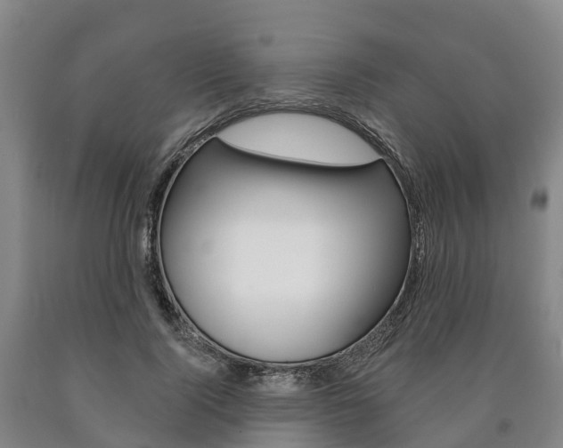 X0000090910740200707301032