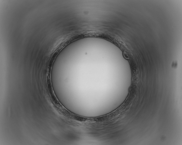 X0000090910742200707301032