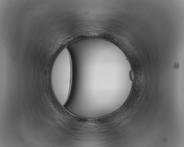 X0000090910743200707301032