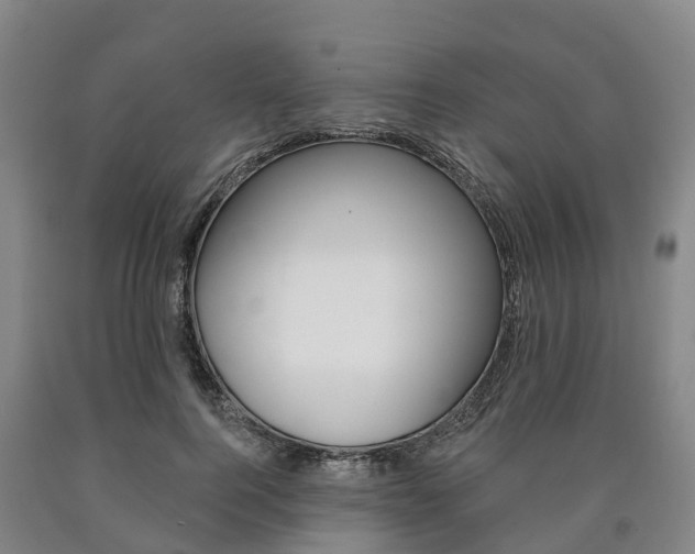 X0000090910744200707301032