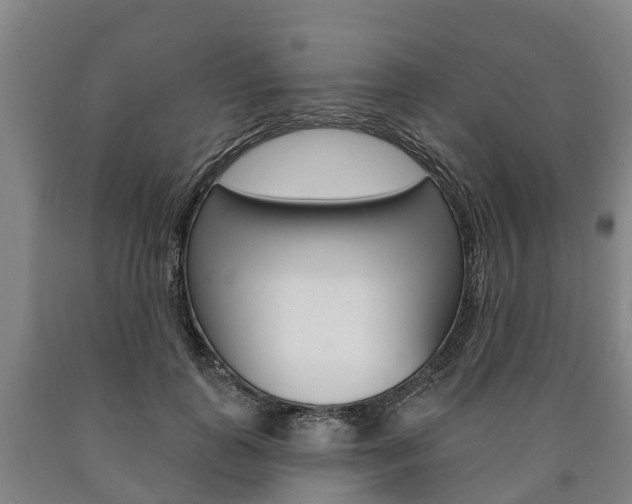 X0000090910747200707301032