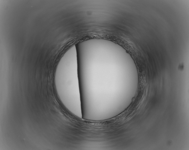 X0000090910749200707301032