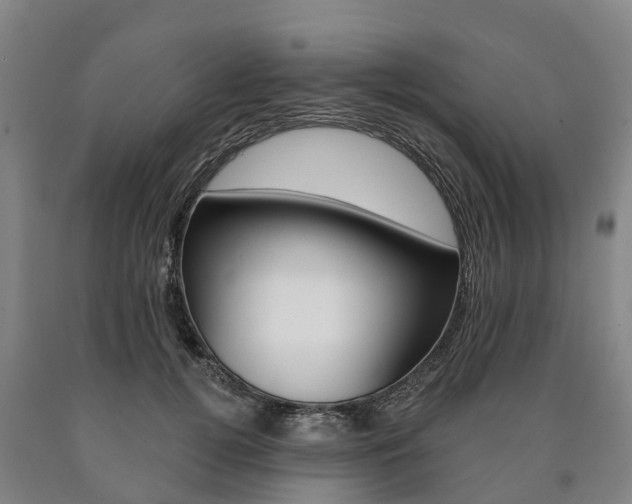 X0000090910752200707301032