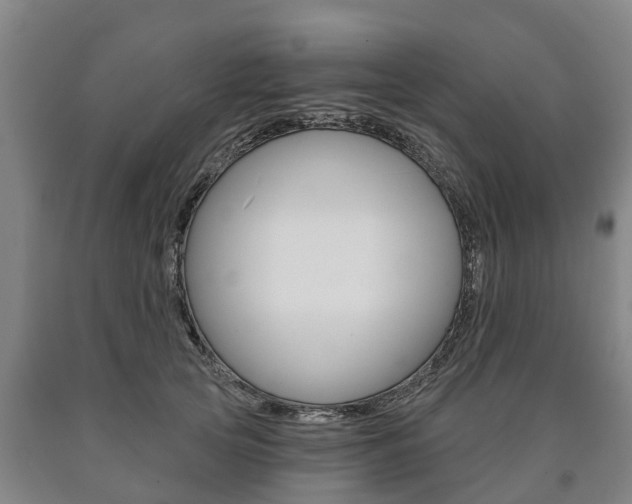 X0000090910753200707301032