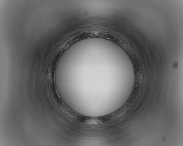X0000090910754200707301032