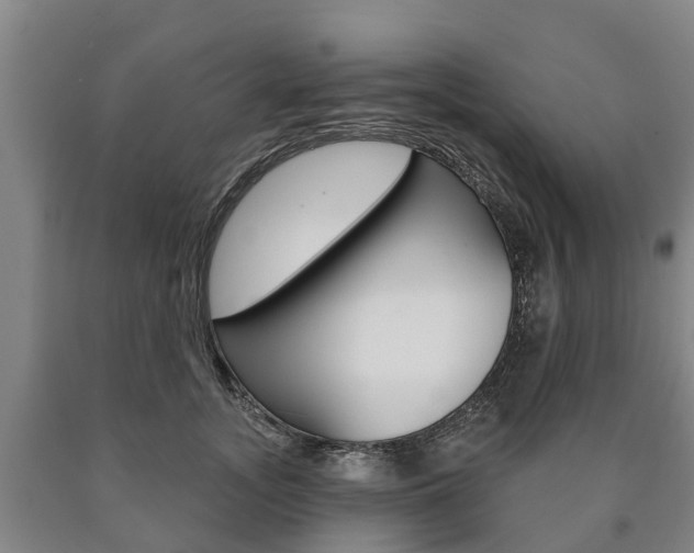 X0000090910755200707301032