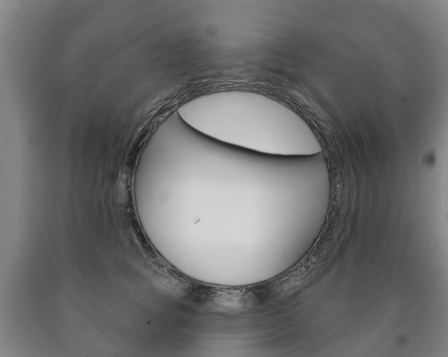 X0000090910757200707301032